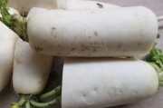 白萝卜：怎么做才好吃，烹饪技巧与营养解析