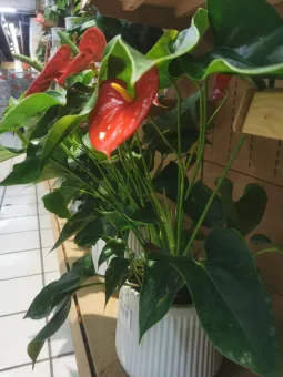 生活解压 第1张