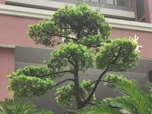 带你走出婚姻的围城 第1张