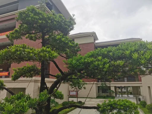 中小学作文:掌握写作的技巧,写出优秀的作文 第1张 中小学作文:掌握写作的技巧,写出优秀的作文 第1张