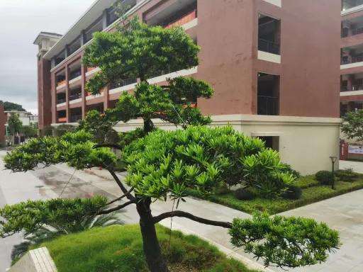 如何提高初中写作能力 第1张