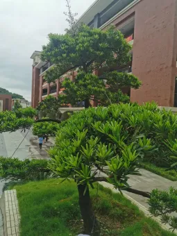 写好初中作文的三大诀窍 第1张