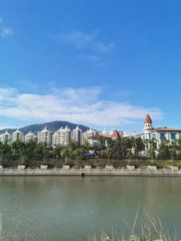 艺术与生活：情感与认知的交织 第1张