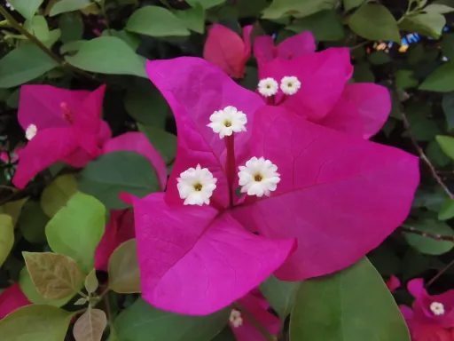 婚姻十年:感慨的文案,爱的长歌与岁月之舞 第1张 婚姻十年:感慨的文案,爱的长歌与岁月之舞 第1张