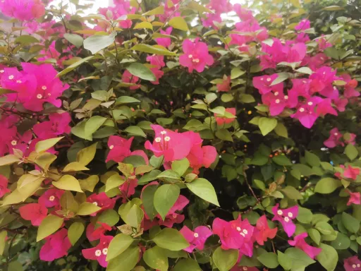 恋爱的本质:占有的欲望与梦醒的哲学,解锁爱情密码 第1张 恋爱的本质:占有的欲望与梦醒的哲学,解锁爱情密码 第1张