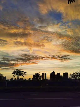 雨后新景，万物欢歌 第1张