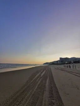 真实与谎言 第1张 真实与谎言 第1张