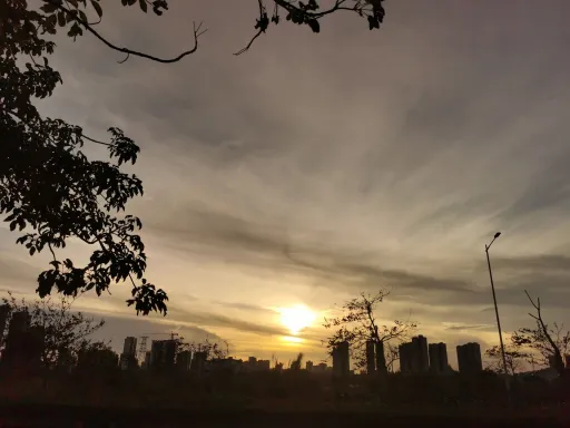 一次难忘的社会实践经历 第1张 一次难忘的社会实践经历 第1张