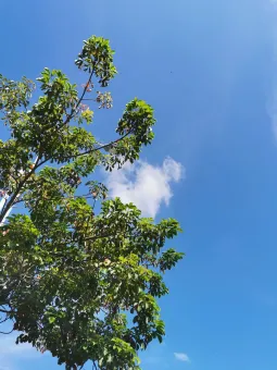 从失败中学习 第1张 从失败中学习 第1张